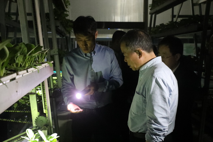 电竞实时数据网