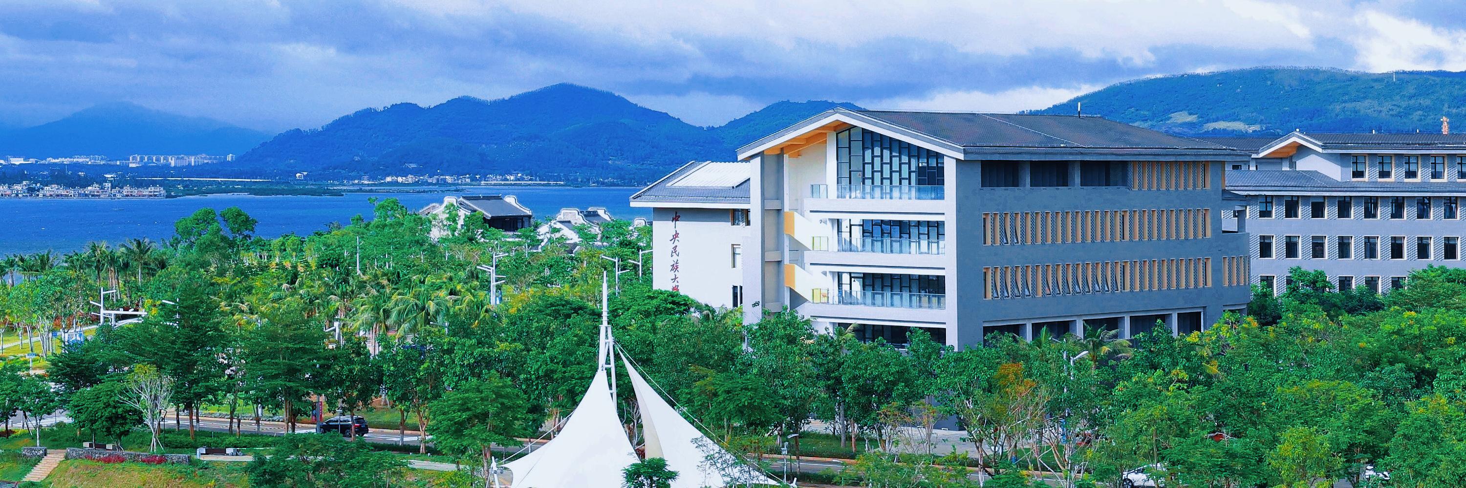 电竞实时数据网